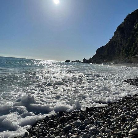 Apartments Villa Simonovic Petrovac Dış mekan fotoğraf