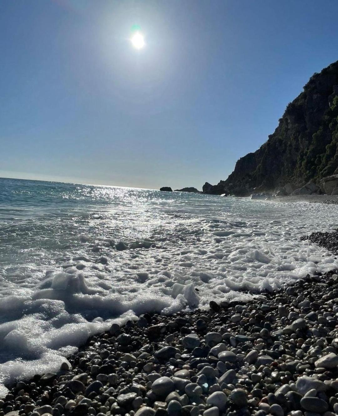 Apartments Villa Simonovic Petrovac Dış mekan fotoğraf
